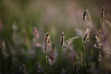 外媒评选今年游玩时间最长的10款游戏 《黄金树幽影》等